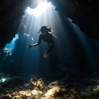 PADI 1