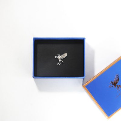 Brooch/Lapel Pin