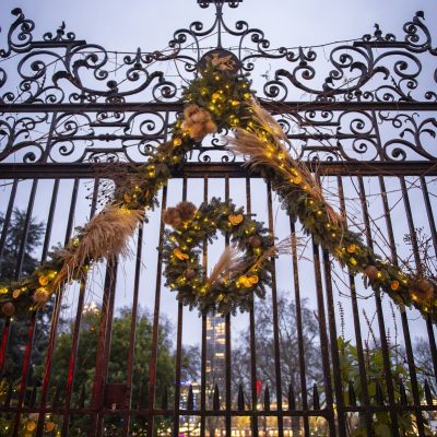 Garden Gates Christmas Card (5pk)