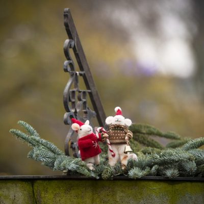 Mice on the sundial Christmas Card (5pk)